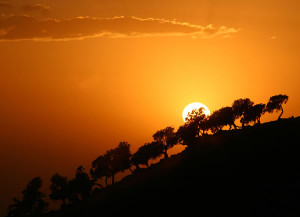 Simien Mountain Sunset