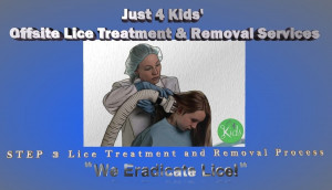 Facts of Lice - Lice Treatment and Removal Services - Step 3 - We ...
