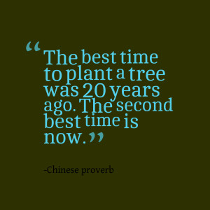 Quotes Picture: the best time to plant a tree was 20 years ago the ...