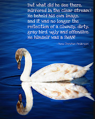 ugly duckling (Brenda Anderson) Tags: reflection fairytale swan quote ...