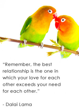 Love Birds Quotes