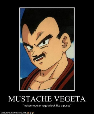 On peut donc citer des anomalies comme la moustache de Vegeta, le ...
