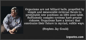 Sports Quotes About Life