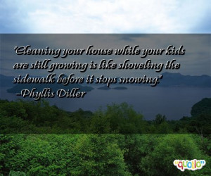 Home Cleaning Tips Funny The House Quotes