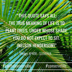 This quote says all: The true meaning of life is to plant trees, under ...