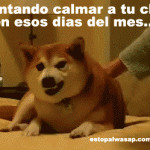 Im genes graciosas Im genes graciosas con movimiento Imagenes para