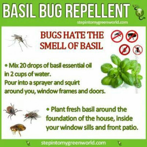 Pinned by ★Gypsy Girl★™