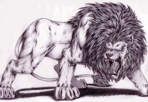 angry lion drawing Picture