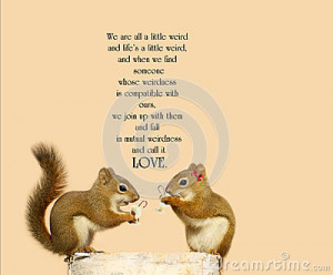 Inspirational quote on love by Dr. Suess with a cute pair of squirrels ...