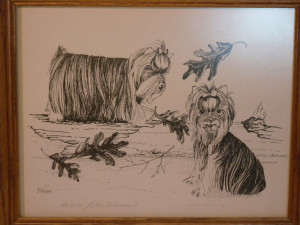 ... TERRIER Drawing Signed Numbered Framed YORKIE Drawings Dog Dogs
