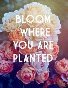 quote via www facebook com more flowers quotes floral quotes quotes ...