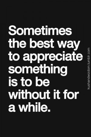 Sometimes The Best Way To Appreciate Something Is To Be Without It For ...