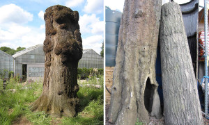 Artificial Tree Trunks