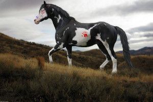 War horse pony fast art native american HD Wallpaper