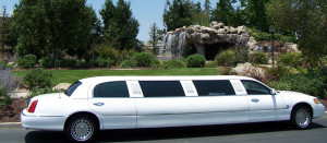 Limo Quote