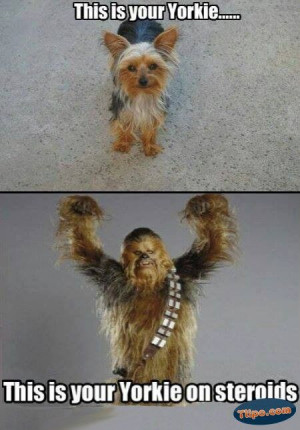 Found on tableforoneministries.com