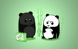 Very funny Cartoon Panda with quote beautiful wallpaper in HD