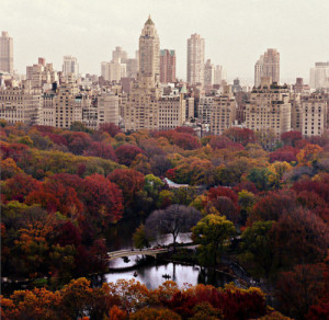 autumn, central park, new york city, photography