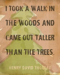 ... decor i took a walk in the woods quote by thoreau print chice of