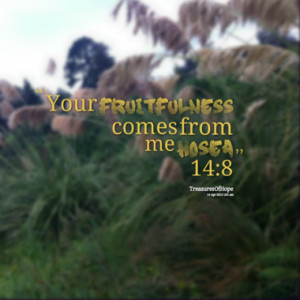 your fruitfulness comes from me hosea 14 8 quotes from salome mitchell ...