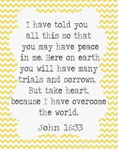 have told you all this so that you may have peace in me. Here on earth ...