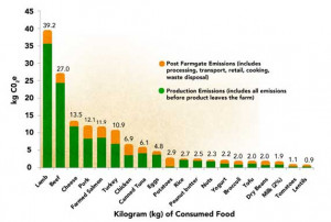 The Environmental Impact of Animal and Plant Protein Sources