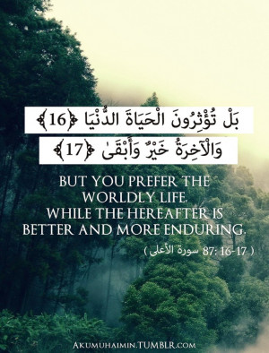 15 Quran Quotes
