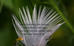 hope-quotes-is-the-thing-with-feathers-quote.jpg