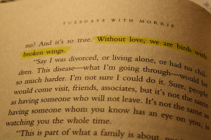 morrie2 quote