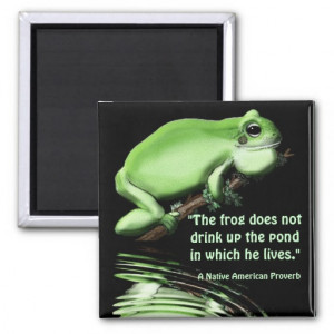 Water Conservation Earth Day Green Frog Magnet