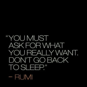 Don't go back to sleep...Rumi.