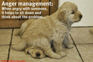 ... Monday Quote About Life: Anger Management + Dog Humor