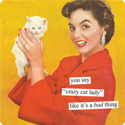 you say “crazy cat lady” like it’s a bad thing