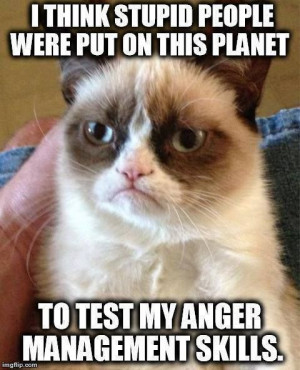 ... sarcastic funny, grouchy cat …For more funny quotes and hilarious