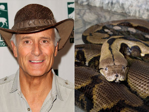 Jack Hanna