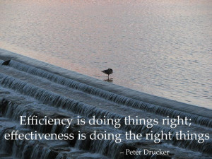 Efficiency and Effectiveness Quote