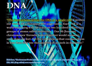 God Creation and the Cosmos