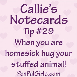When You Are Homesick Hug Your Stuffed Animal!