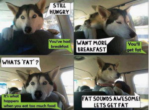 Fat sounds awesome lets get fat – via