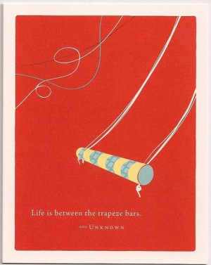 Life is between the trapeze bars. - Unknown.