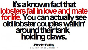 Lobsters' tale.. #phoebe #quotes#funny #love