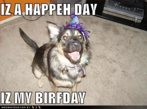 happy birthday dog funny happy birthday dogs funny happy birthday dogs