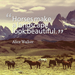Horse Quotes And Cowgirl