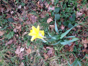 Quick Conveyancing Quotes