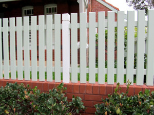 Privacy Fence Pine Dogeared