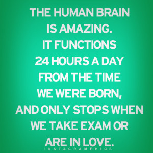 The Human Brain Is Amazing Quote Graphic