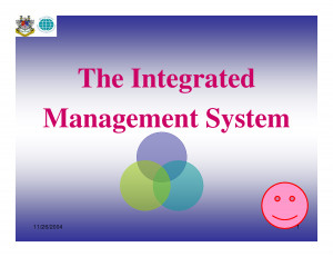 The Integrated Management System