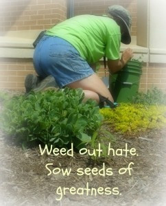 Weed Out Hate, Sow Seeds of Greatness