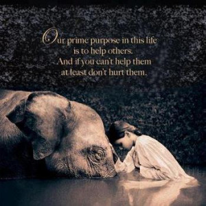... to help others. And if you can't help them at least don't hurt them