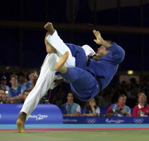 judo as defined by judoinfo com judo is many things
